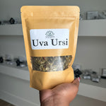 Uva Ursi