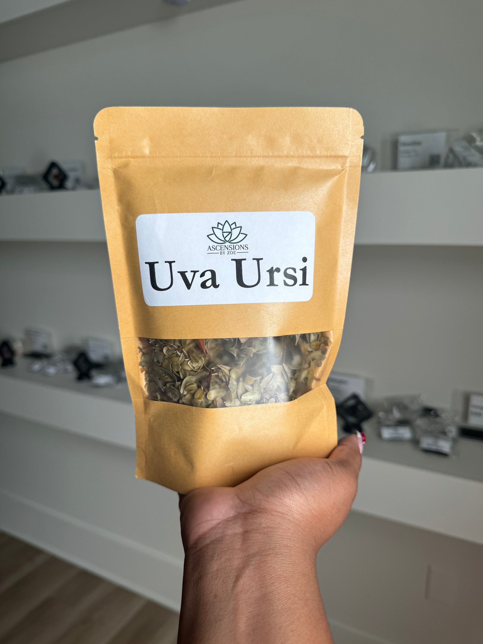 Uva Ursi