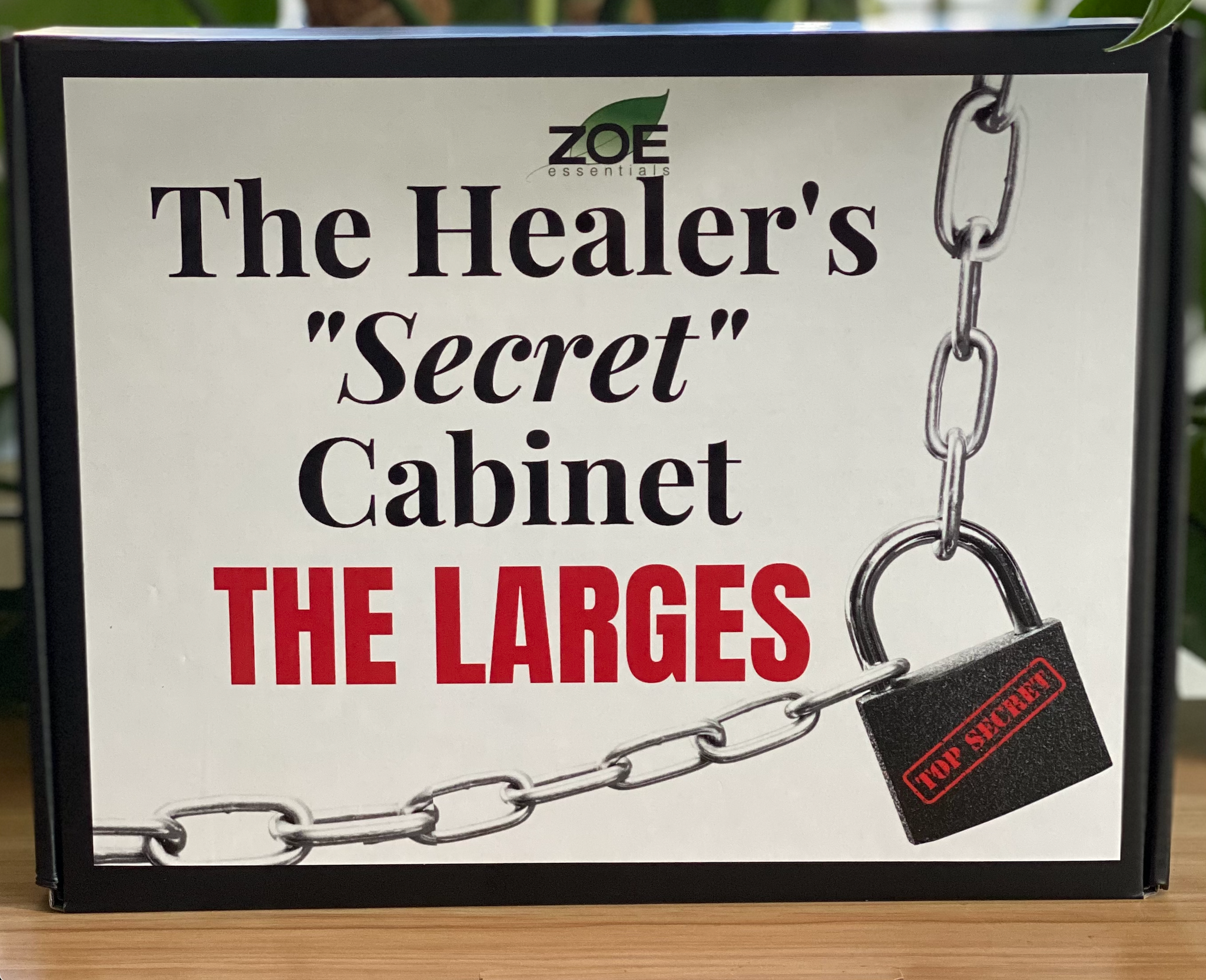 The Healer's Secret Cabinet The Larges