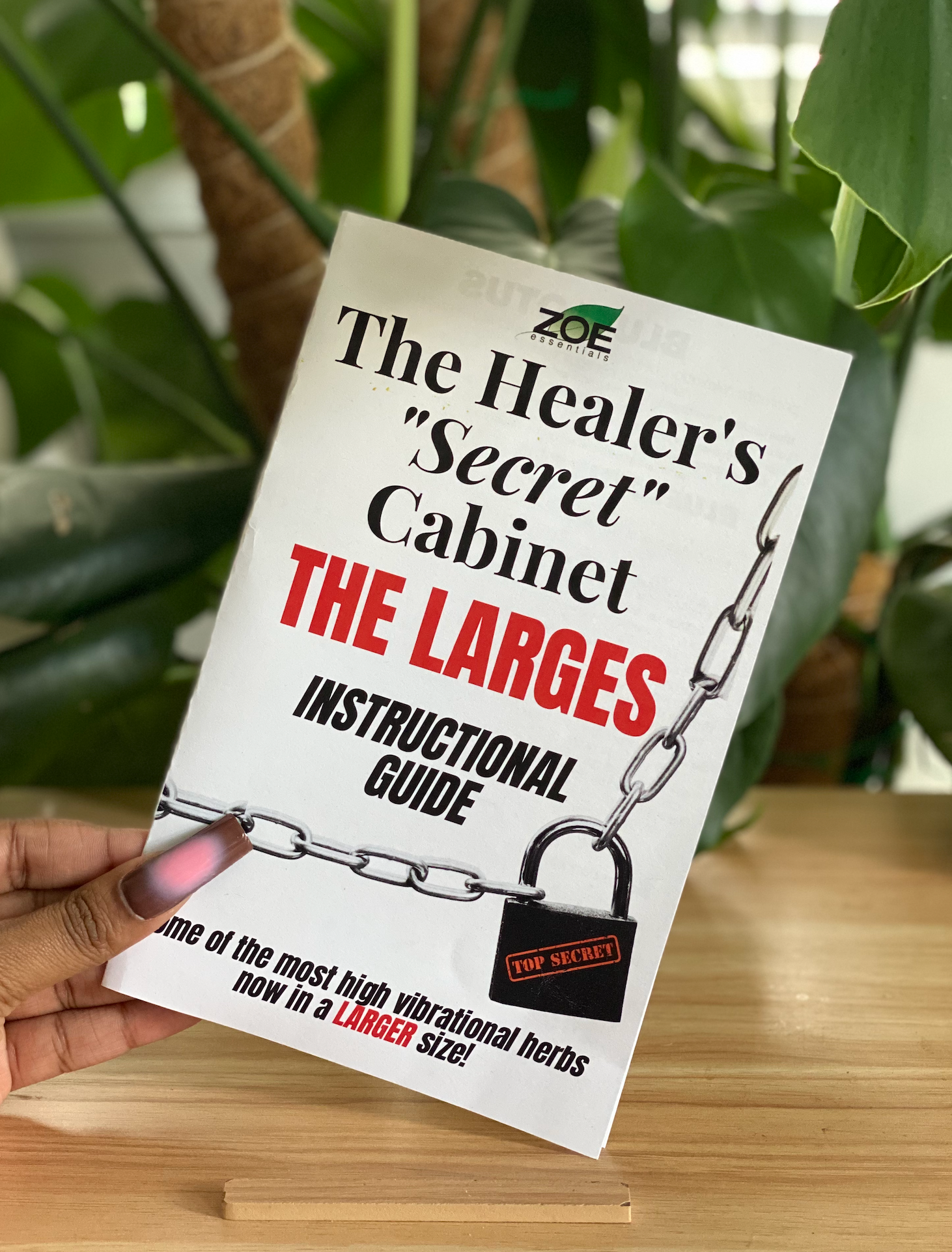 The Healer's Secret Cabinet The Larges